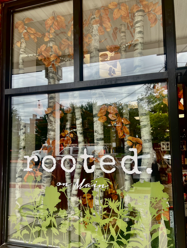 The Floating Forest: Rooted's Fall Display