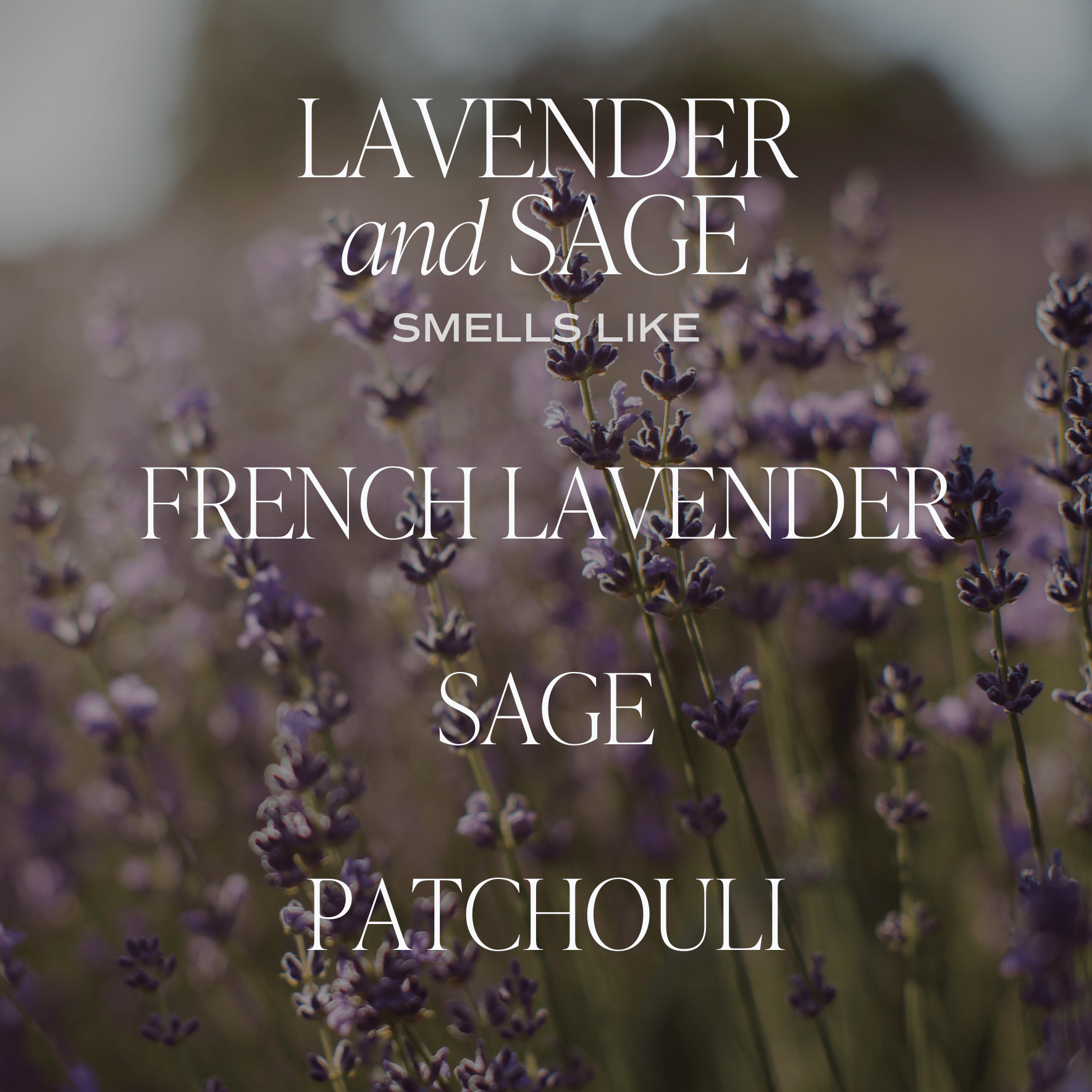 LAVENDER AND SAGE SOY CANDLE - WHITE JAR - 11 OZ