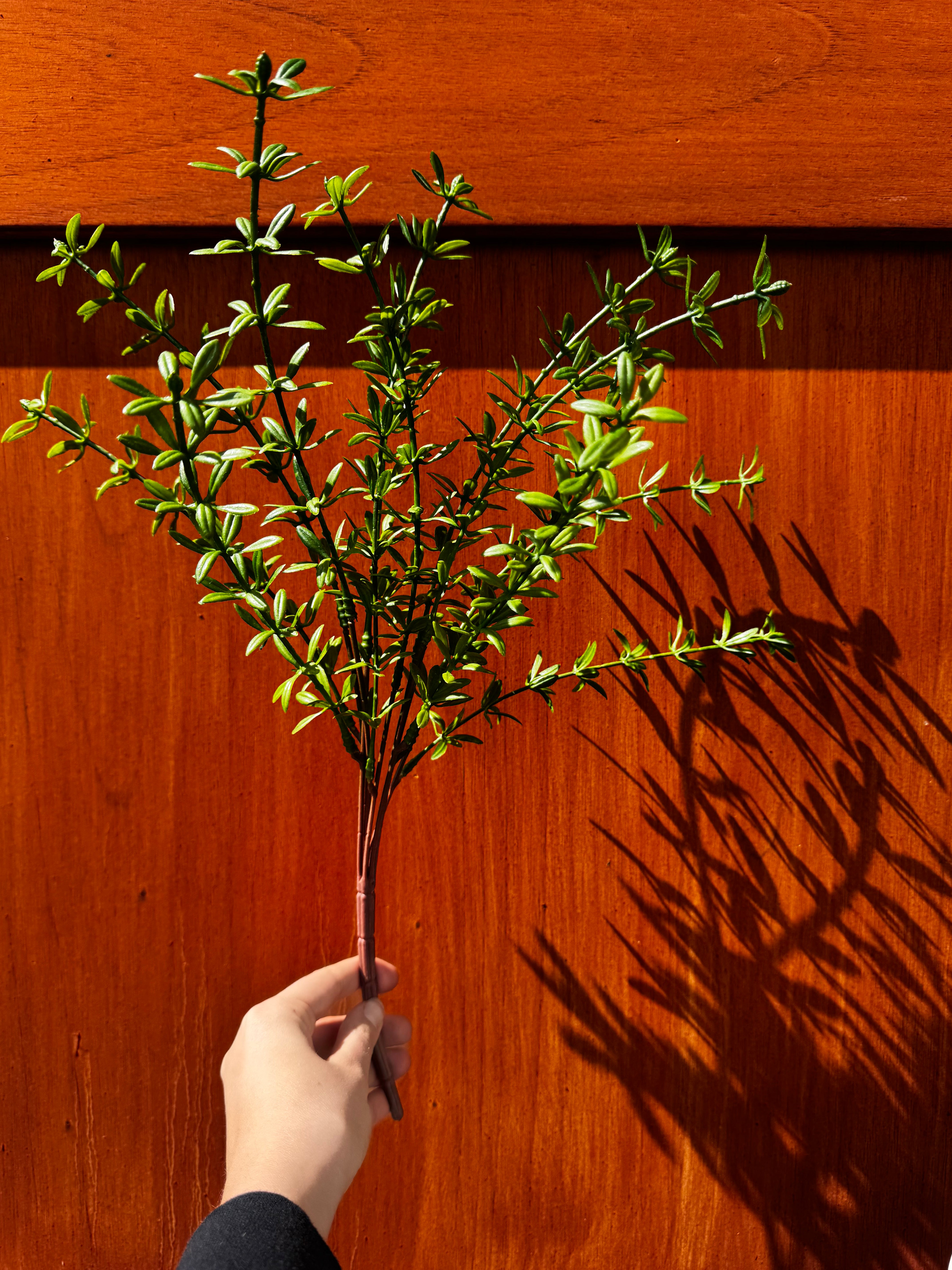 ROSEMARY BUSH DARK GREEN 18