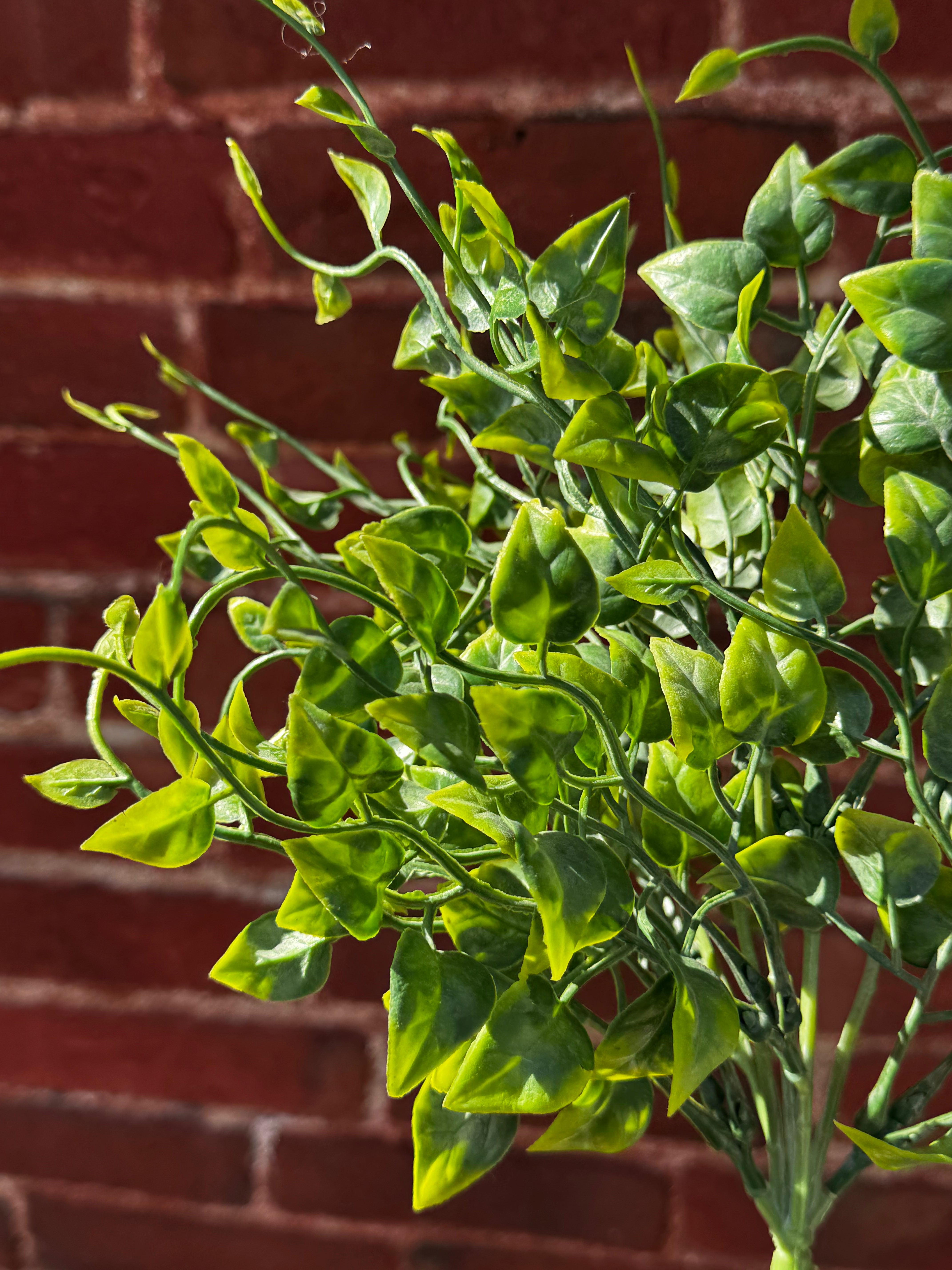 LEAF SPRAY STEM
