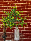 LEAF SPRAY STEM