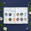 HOW TO BE A MOONFLOWER BOOK