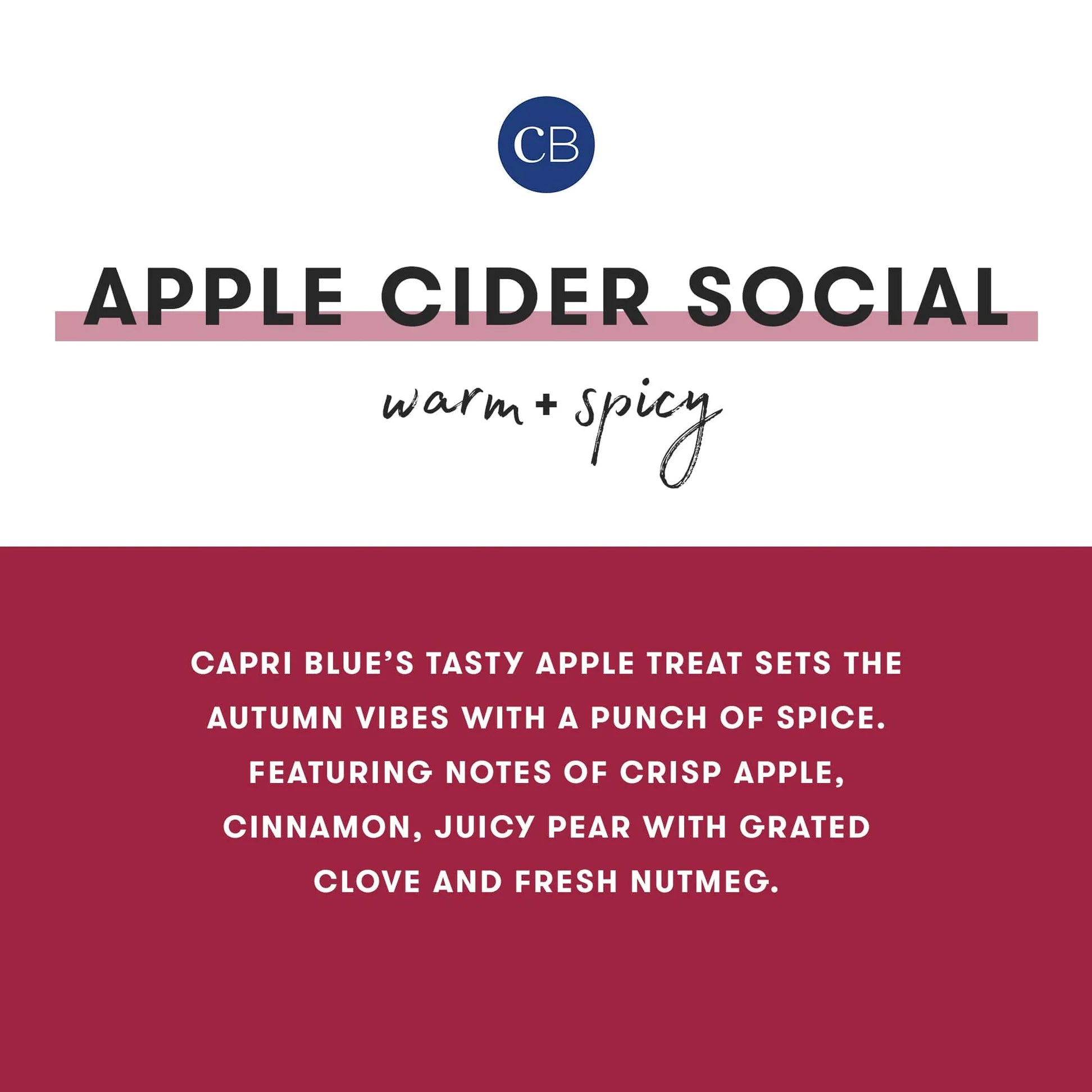 HOLIDAY PATTERN PLAY - APPLE CIDER SOCIAL SIGNATURE JAR, 19 OZ