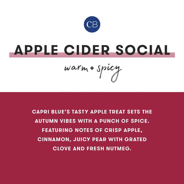 HOLIDAY PATTERN PLAY - APPLE CIDER SOCIAL SIGNATURE JAR, 19 OZ