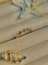 18K GOLD PLATED RING CBK