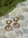 CLAM SHELLS HUGGIES CBK