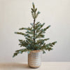 A square metal planter with a debossed grid pattern and a distressed pewter finish, containing a potted plant with green branches and pine cones.
