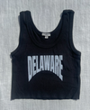 DELAWARE PRINT CROPPED RIBBED TANK