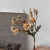 13" TALL FAUX DRIED DAISIES BUNCH