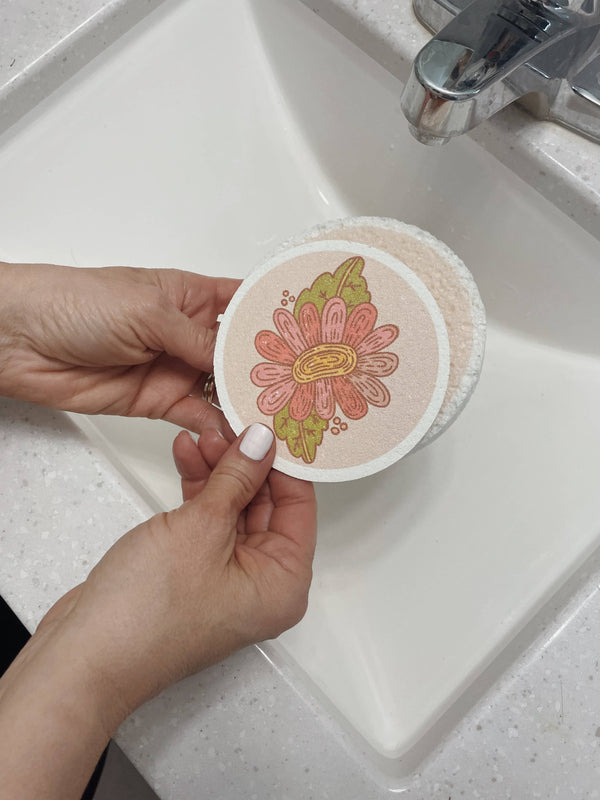 POP UP ECO SPONGE: SNAIL