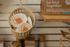 POP UP ECO SPONGE: SNAIL