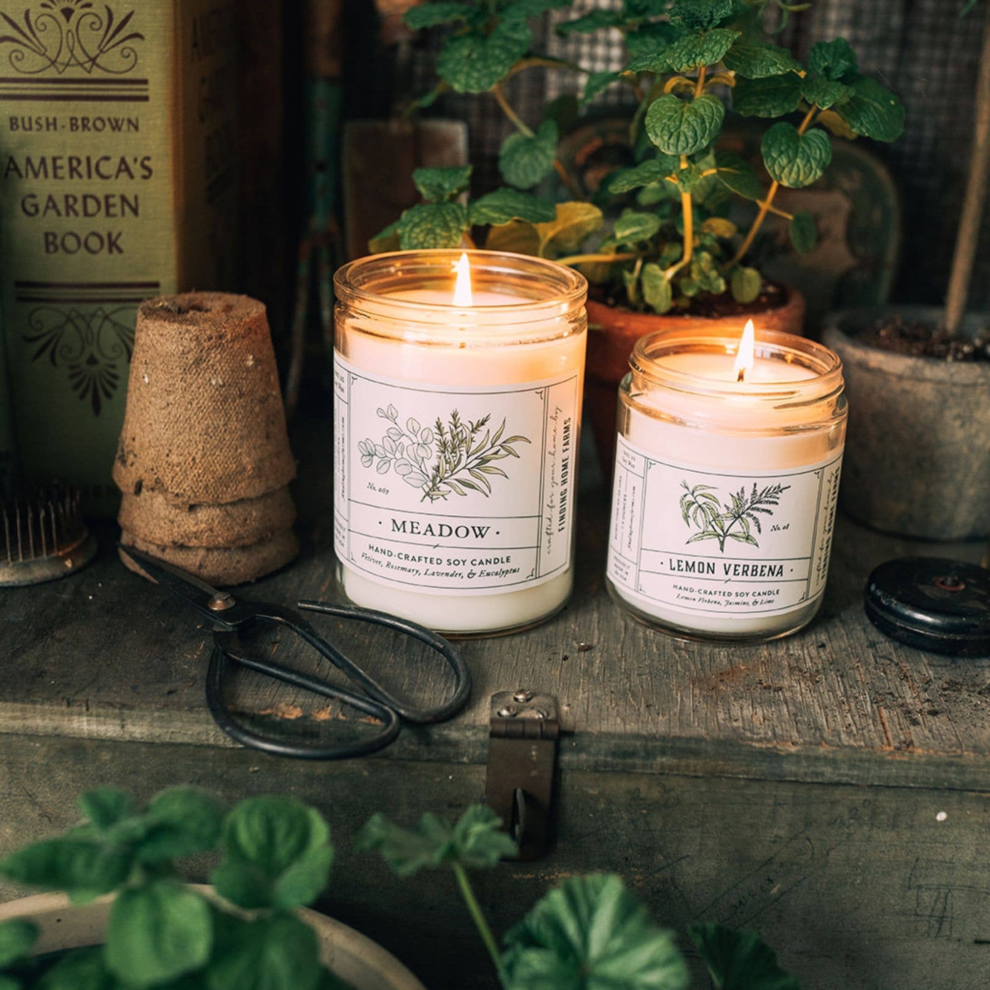 LEMON VERBENA - WOOD TOP CANDLE