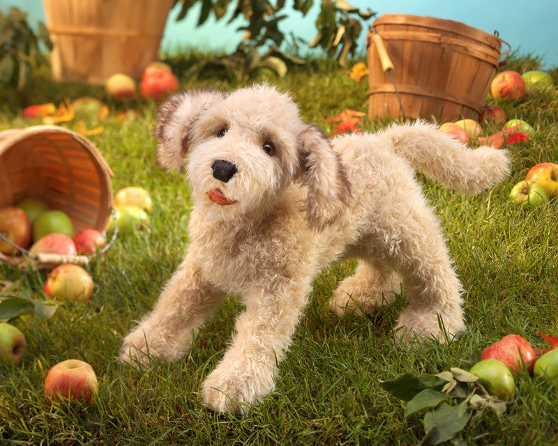 LABRADOODLE PUPPET