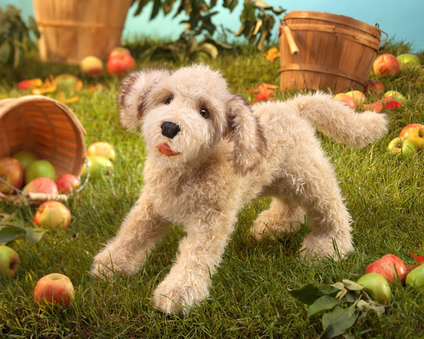 LABRADOODLE PUPPET