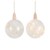 Two spherical glass LED ornaments with dried botanicals inside, hanging by strings, with a pine wood base.