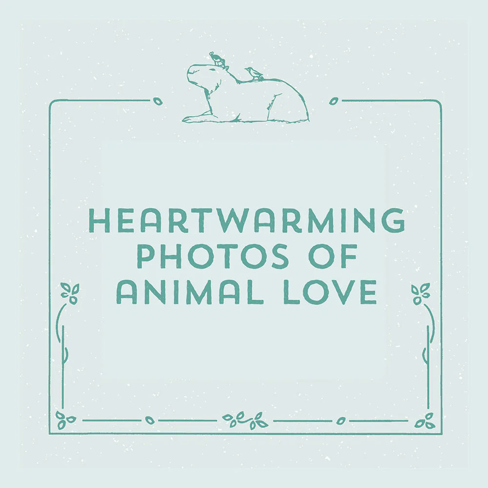 YOU'RE A GOOD FRIEND CAPYBARA