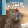 A capybara with a butterfly on its nose, with the title 'You're a Good Friend, Capybara' overlaid at the top.