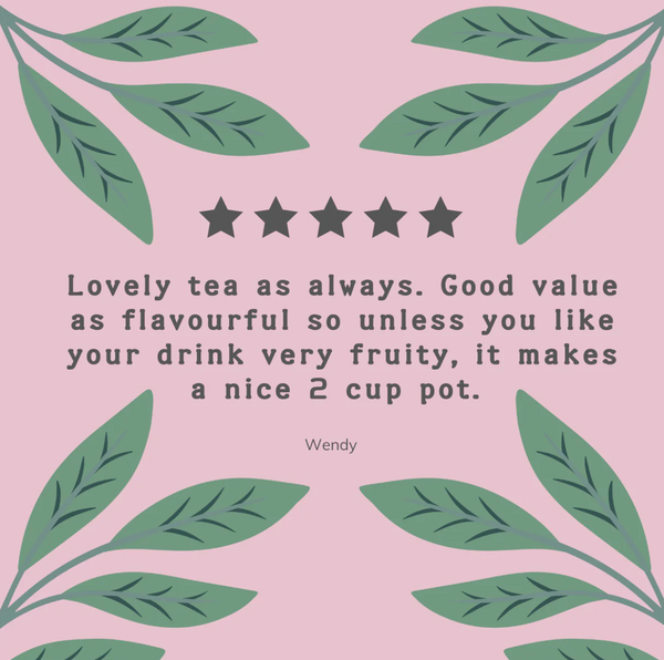 HAMPSTEAD ORGANIC ROSEHIP & HIBISCUS (20 TEABAGS)