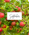 FROM HARVEST TO HOME COOKBOOK
