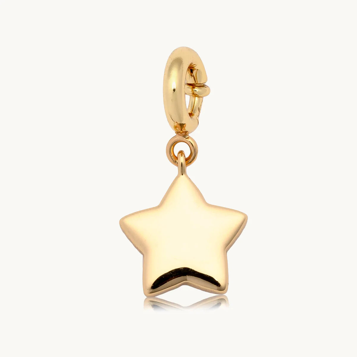 LWP BRACELET CHARMS STANDARD
