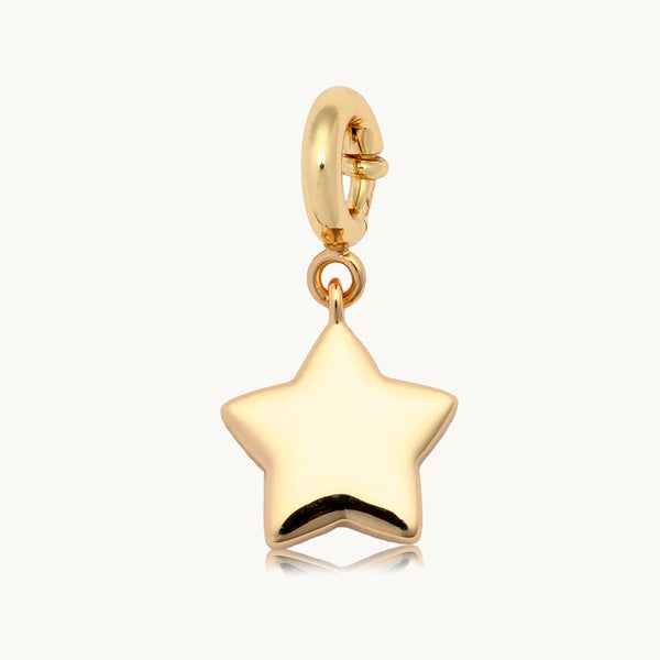 LWP BRACELET CHARMS STANDARD