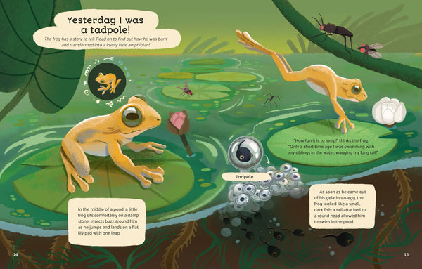 LITTLE STORIES FROM NATURE
