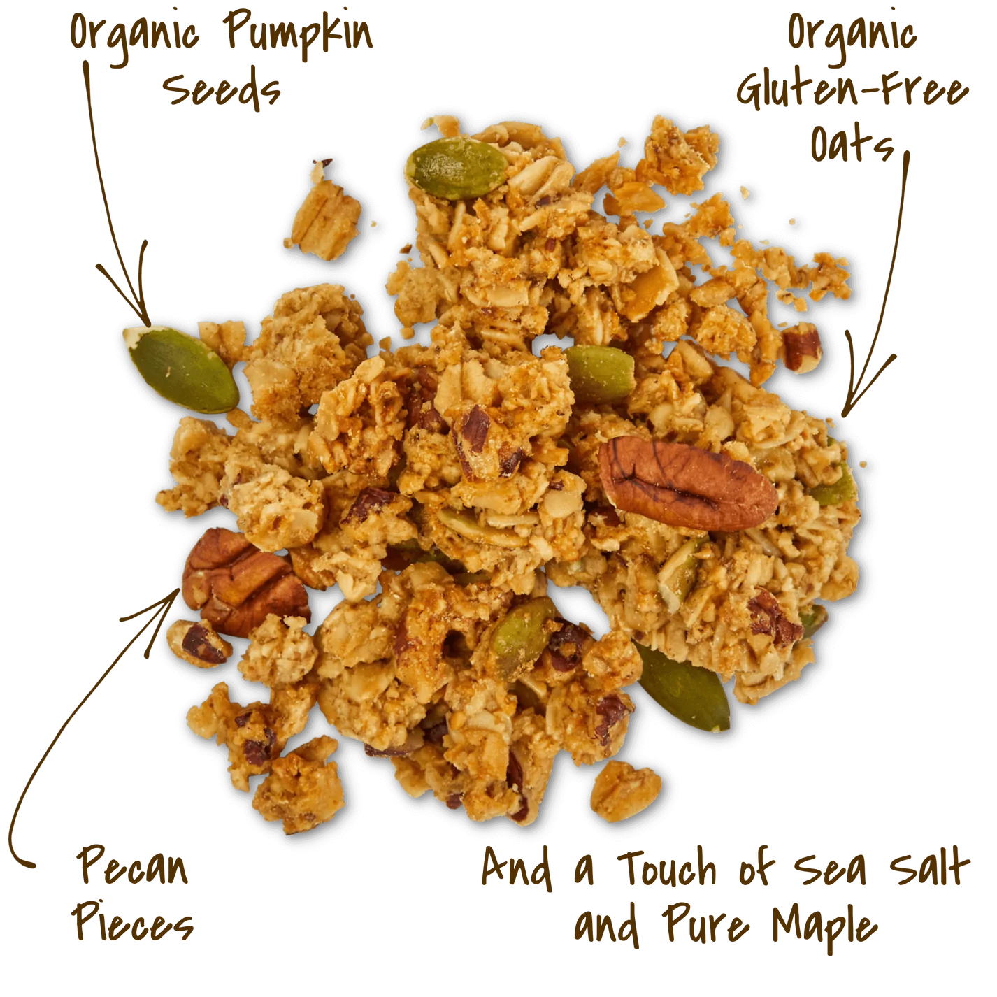 SALTED MAPLE PECAN GRANOLA 12OZ