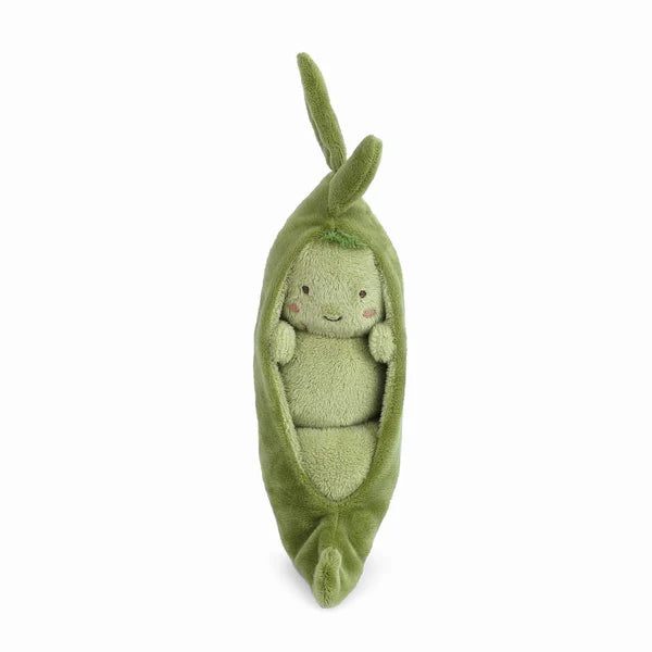 PIA POD