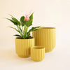 MONROE POT - PALM 6.75 INCH