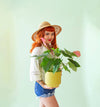MONROE POT - PALM 6.75 INCH