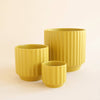 MONROE POT - PALM 6.75 INCH