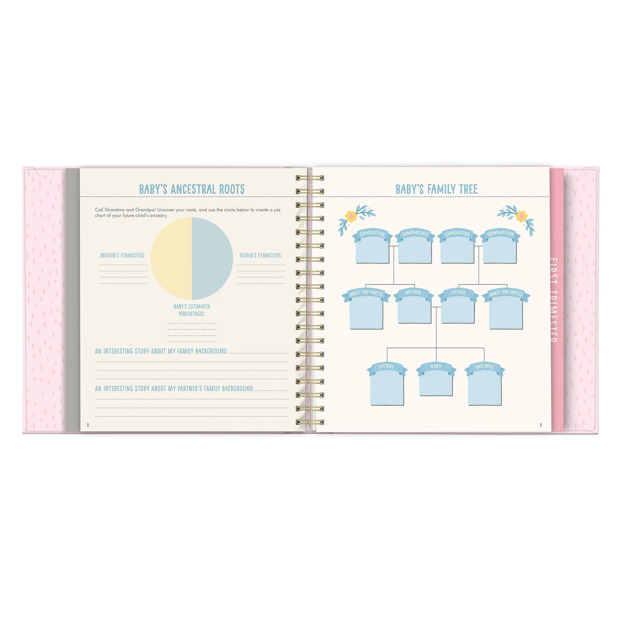 BUMP FOR JOY: A PREGNANCY JOURNAL