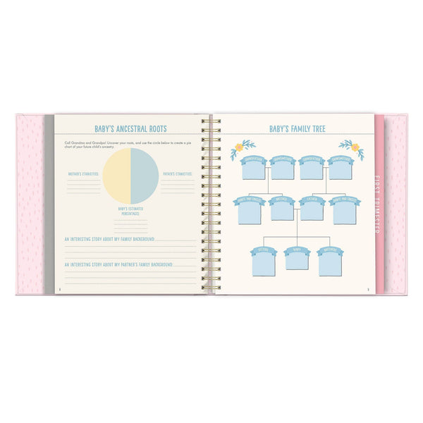 BUMP FOR JOY: A PREGNANCY JOURNAL