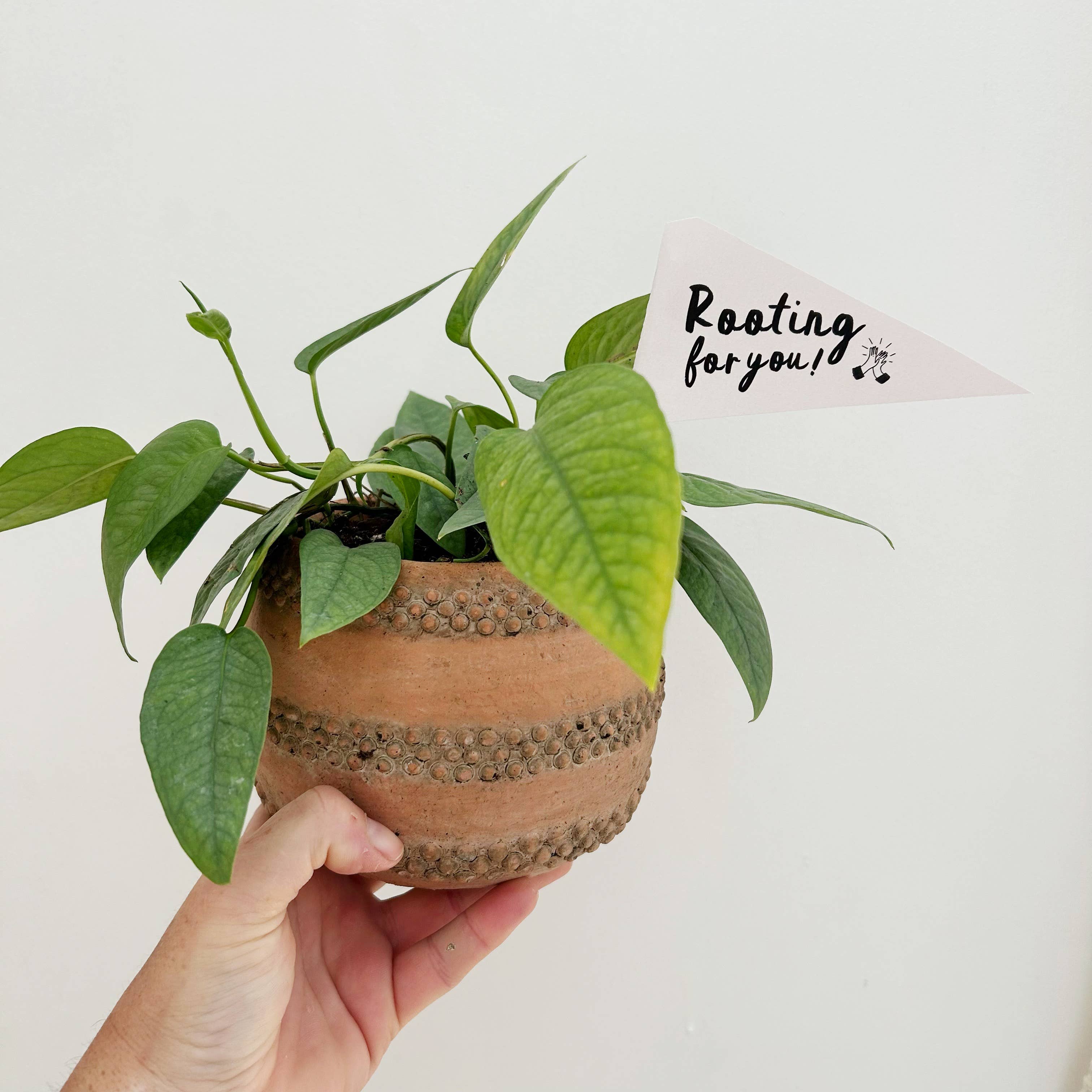 ROOTING FOR YOU PLANT FLAG