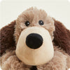 BROWN DOG WARMIE