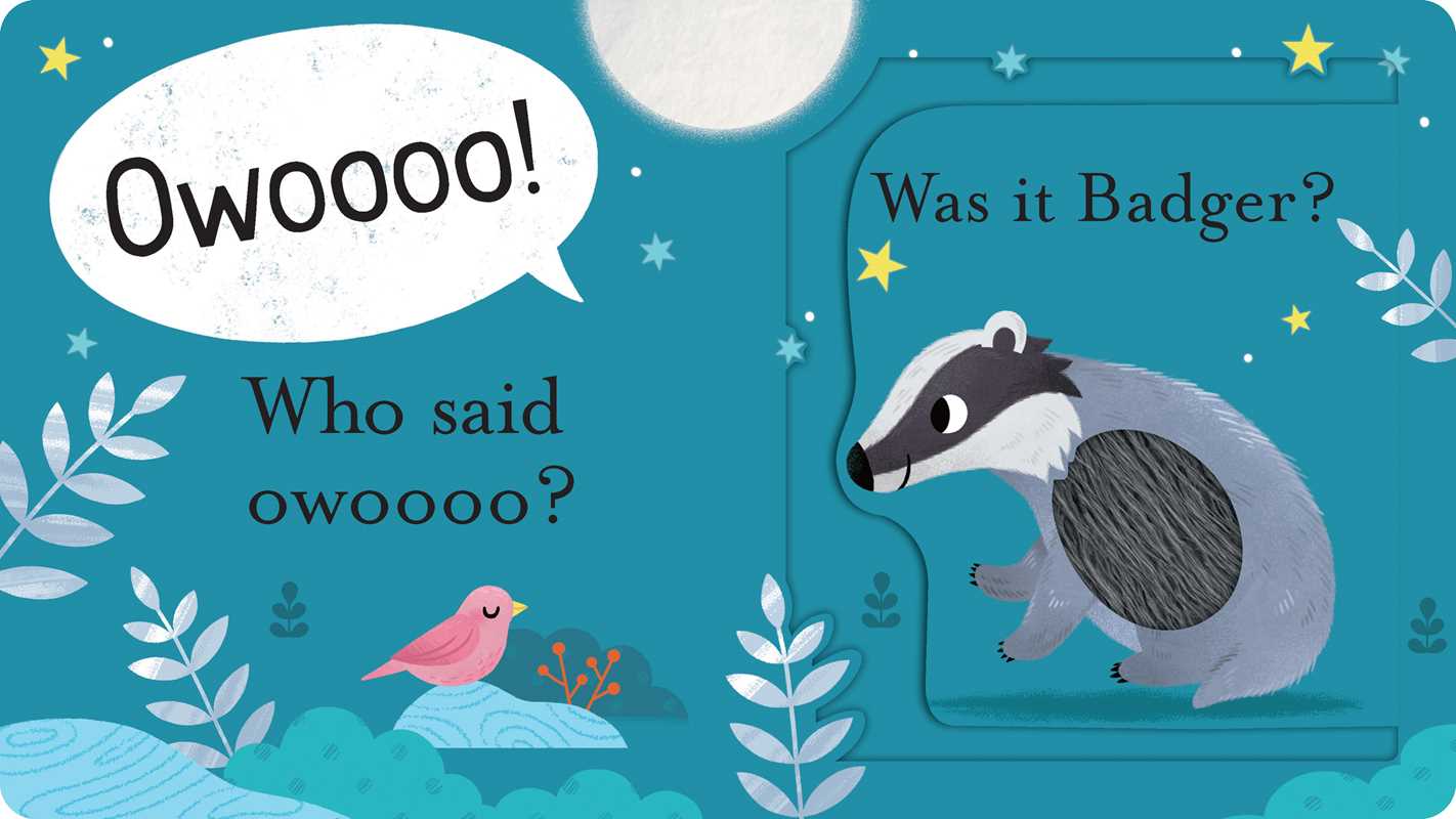 WHO SAID HOOT? BOARD BOOKS; 10 PAGES / ENGLISH