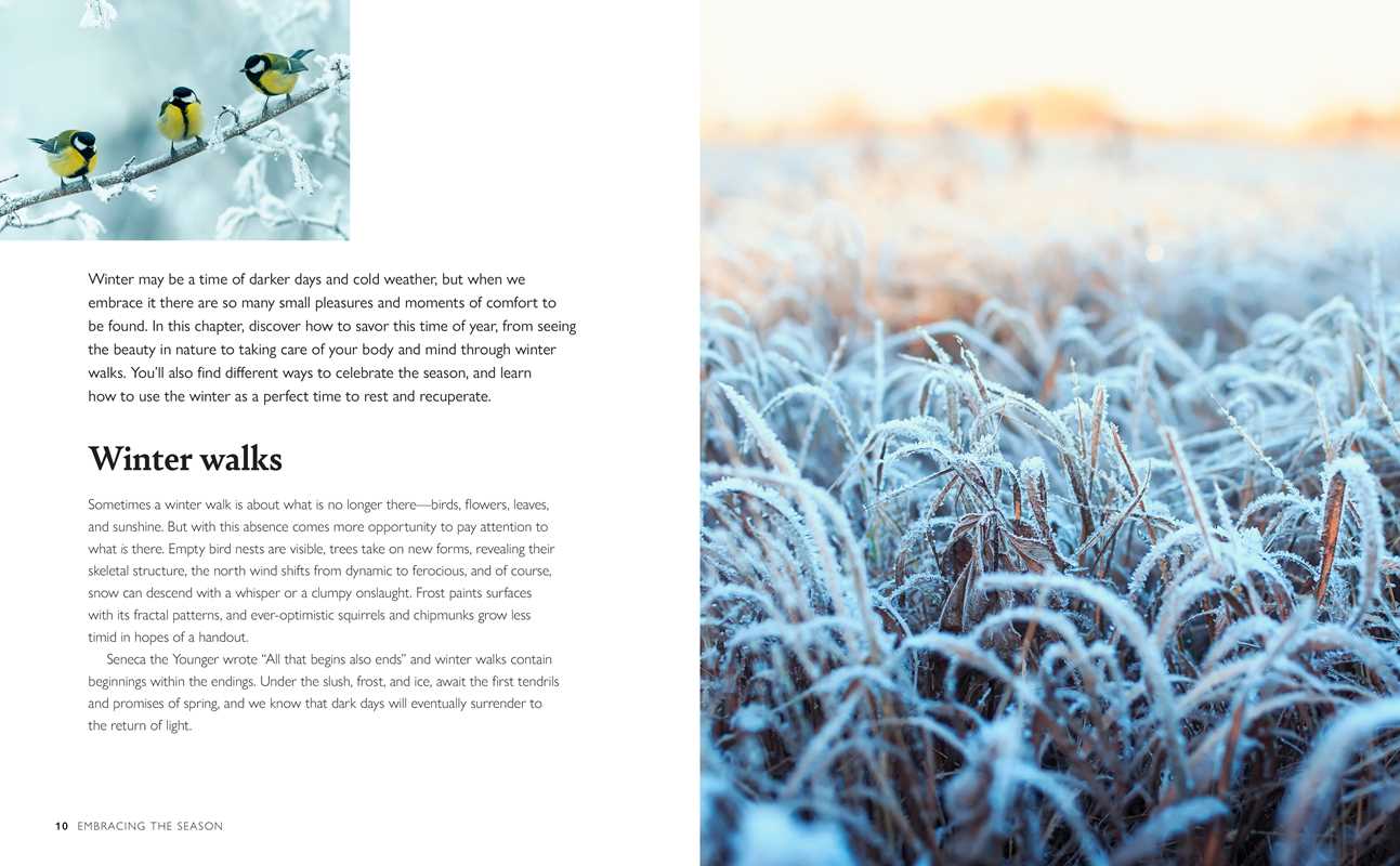 WINTER WELLBEING BY CICO BOOKS: HARDCOVER: 144 PAGES / ENGLISH