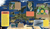 THE WORLD FROM ABOVE BOOK