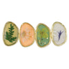PASTEL 4 DRIED FLOWER GOLD BARRETTE
