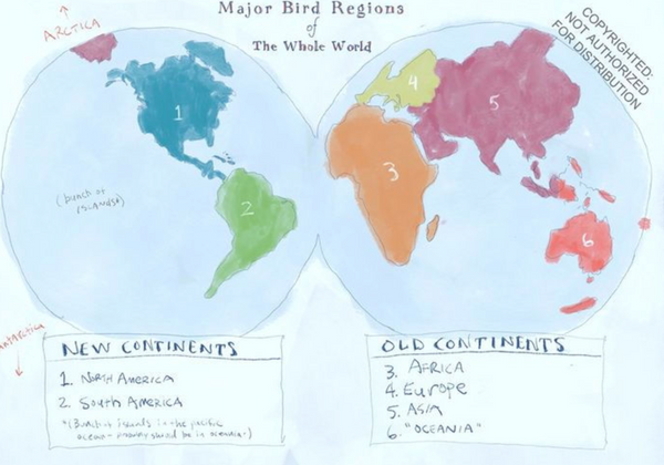 THE FIELD GUIDE TO DUMB BIRDS OF THE WHOLE STUPID WORLD BOOK