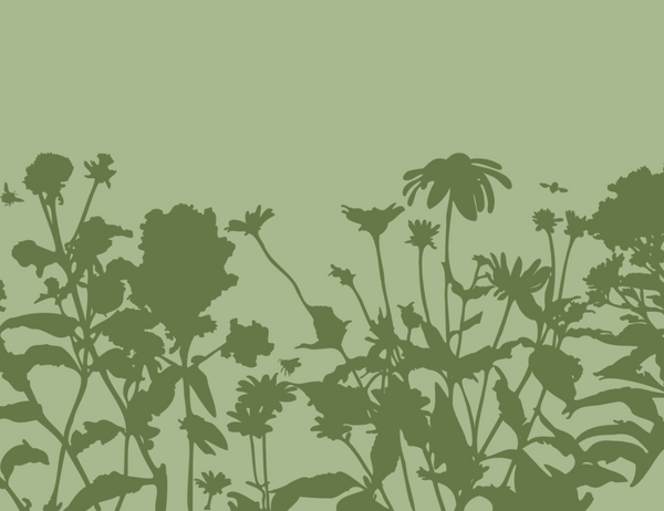 Silhouettes of plants on a green background