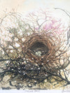 APRIL PRINT BY TEMRE STANCHFIELD
