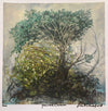 DECEMBER PRINT BY TEMRE STANCHFIELD