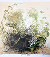 MAY PRINT BY TEMRE STANCHFIELD