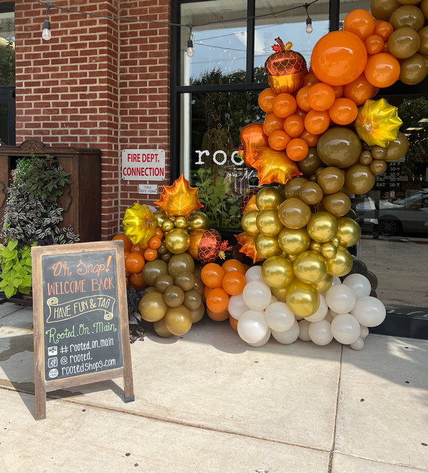 Rooted's Fall Displays