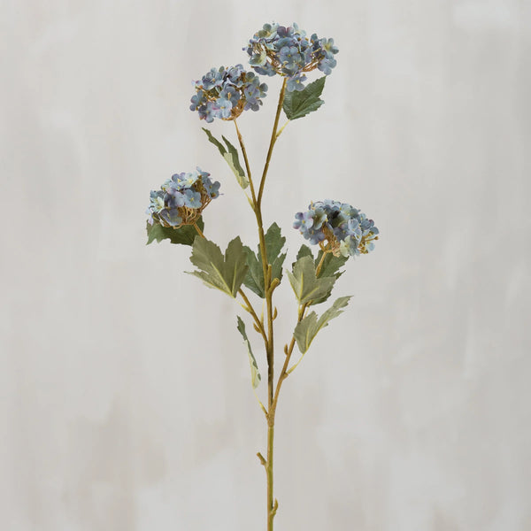 Stems