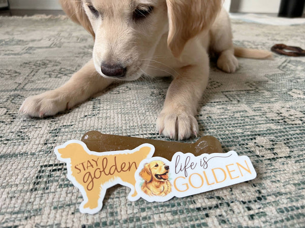 STAY GOLDEM - CUTE GOLDEN RETRIEVER DOG STICKER