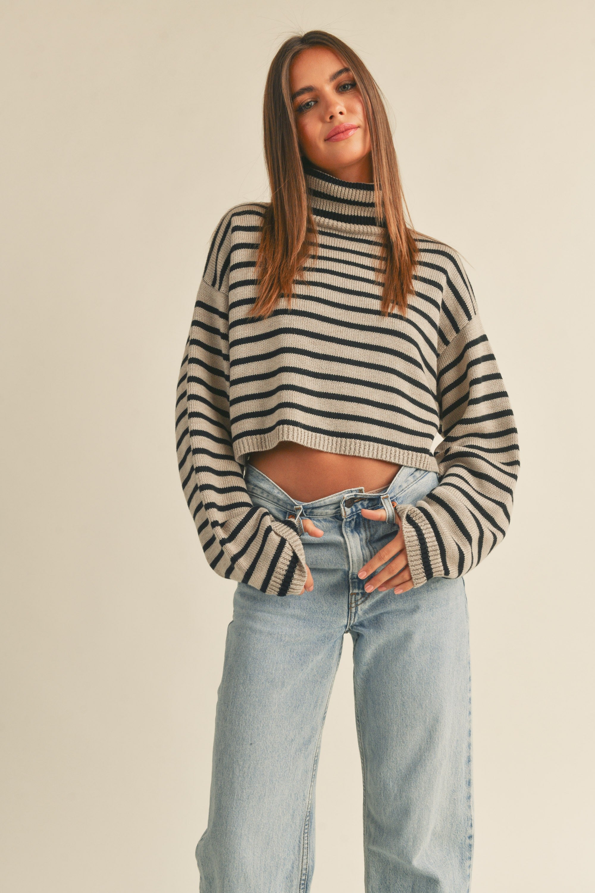 STRIPED TURTLENECK CROP SWEATER TOP