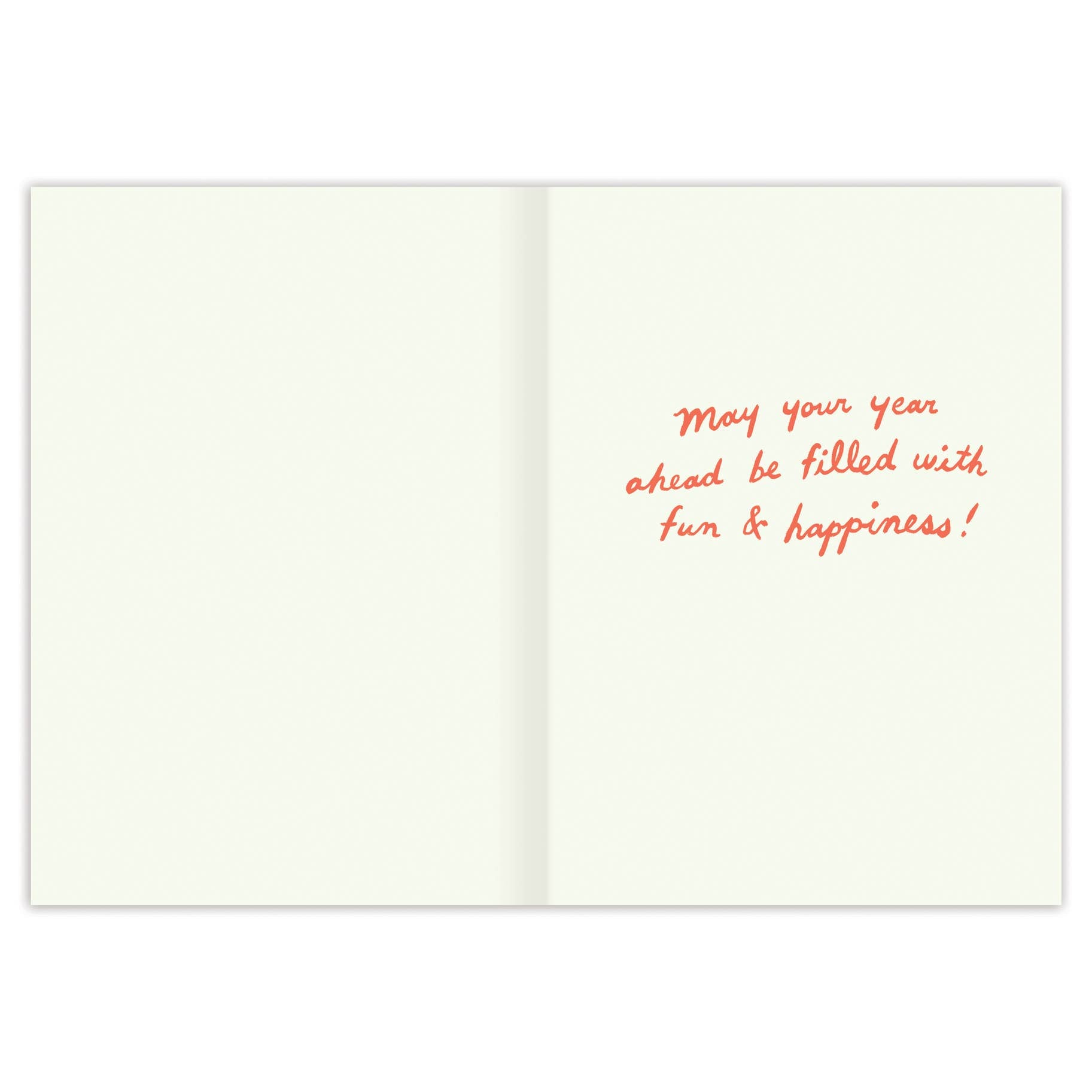 SILLY GOOSE BIRTHDAY CARD