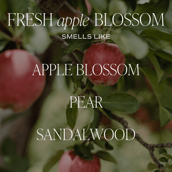 FRESH APPLE BLOSSOM AMBER REED DIFFUSER